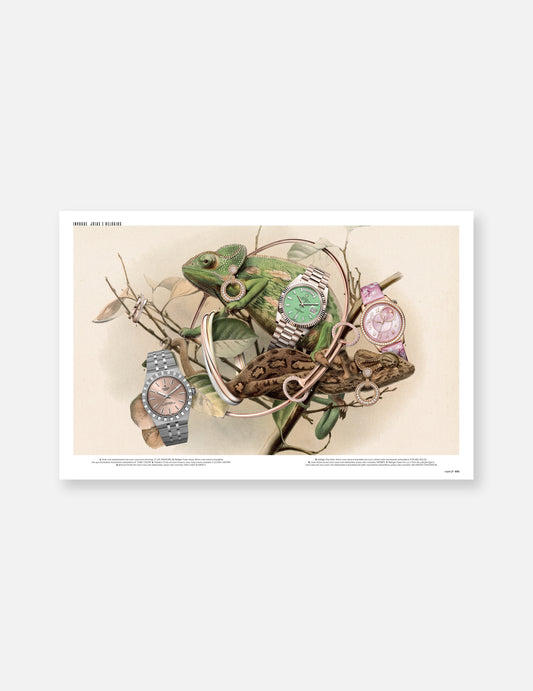 The Patterns Issue - Capa 3