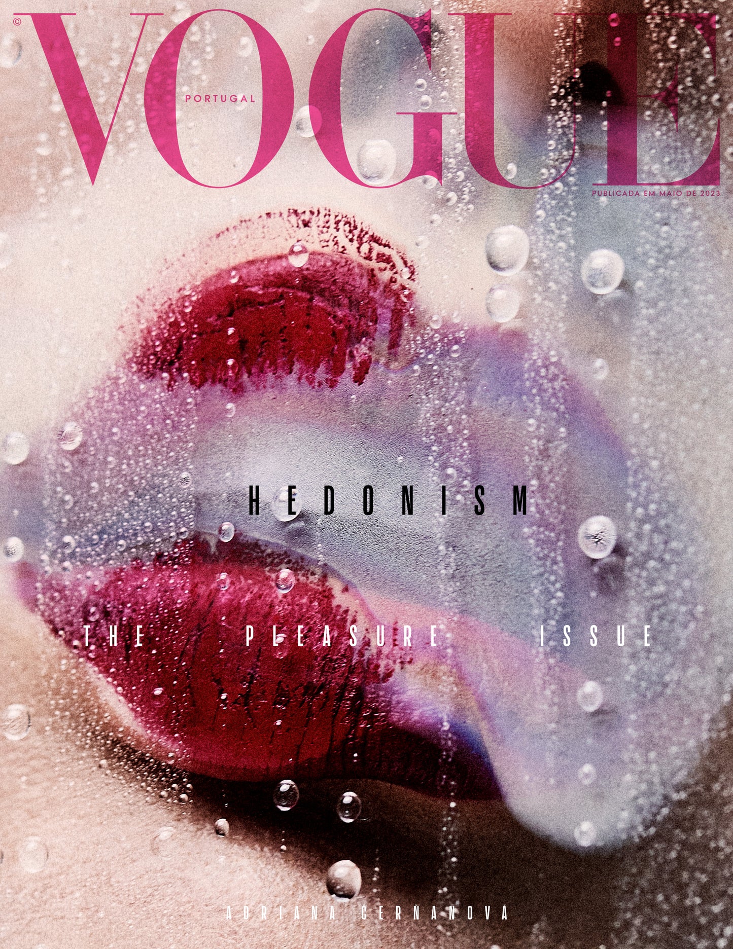 The Pleasure Issue - Cover 1