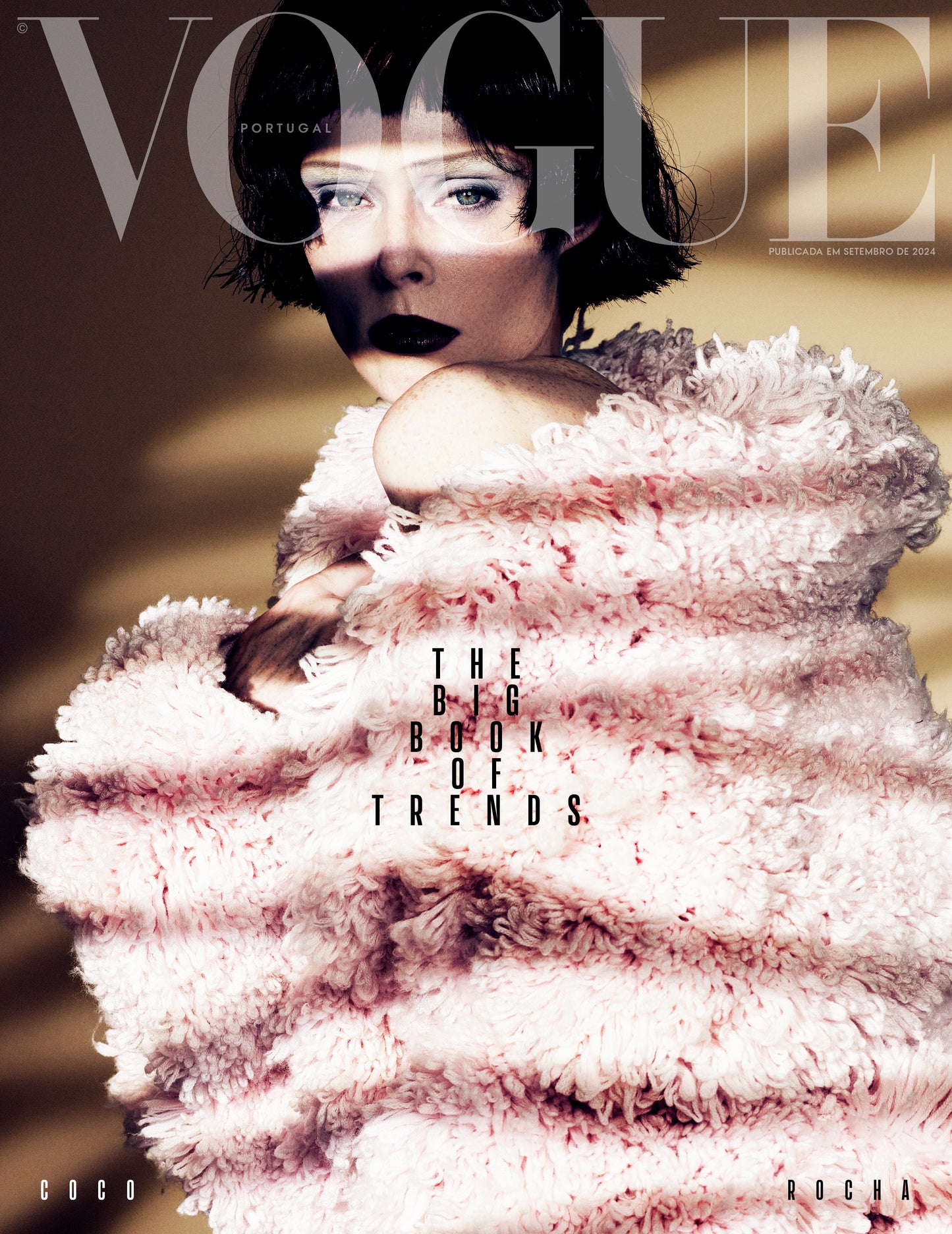 The Big Book of Trends - Capa 1
