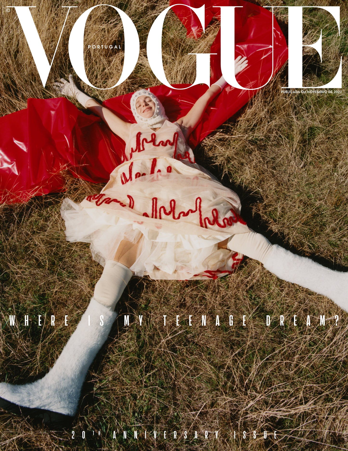 20th Anniversary Issue - Capa 3