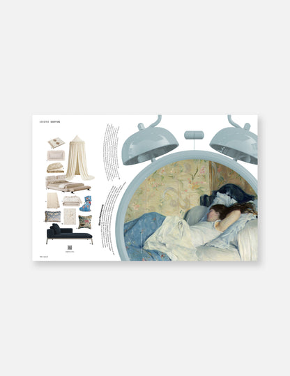 The Sleeping Issue - Capa 2