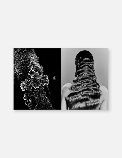 The Sleeping Issue - Capa 2