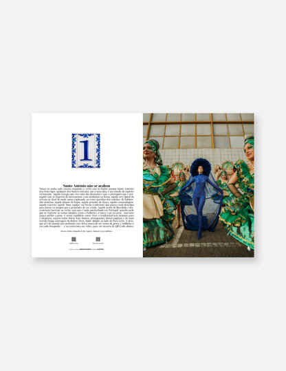 The Portuguese Summer - Capa 2