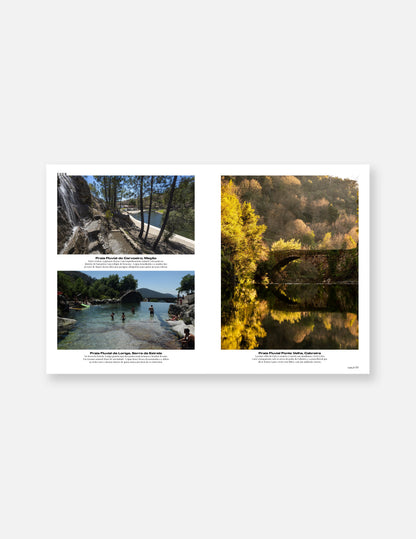 The Portuguese Summer - Capa 2