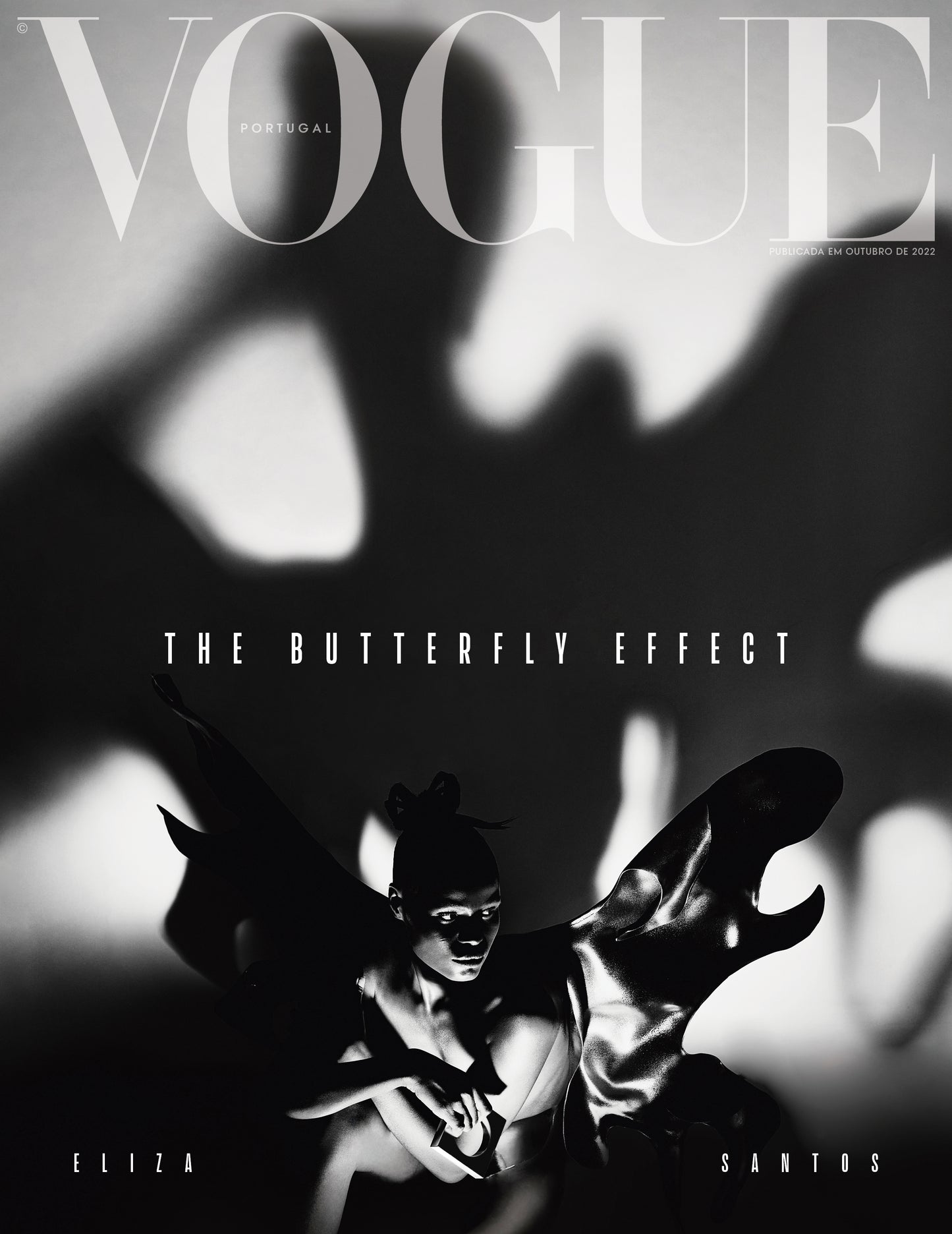 The Butterfly Effect Issue - Cover 1