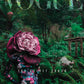 1 of 1 - The Velvet Issue Super Rare - Cover 4